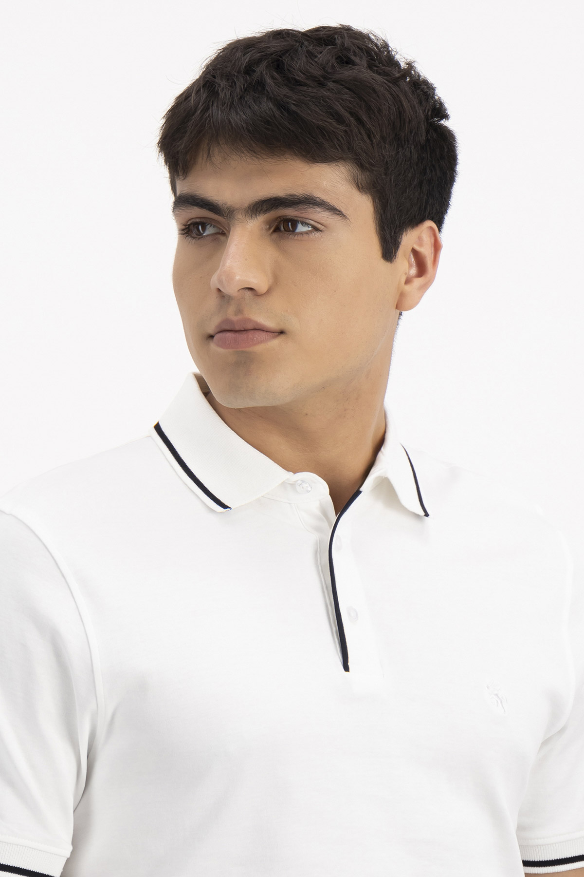 PLAYERA TIPO POLO PREMIUM COTTON CONTEMPORARY FIT LAMBERTI image number null