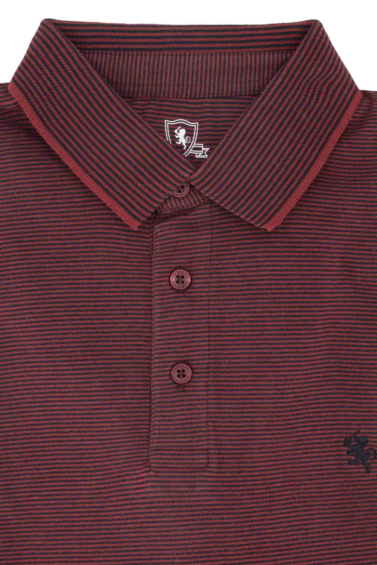 PLAYERA TIPO POLO PREMIUM COTTON CONTEMPORARY FIT LAMBERTI image number null