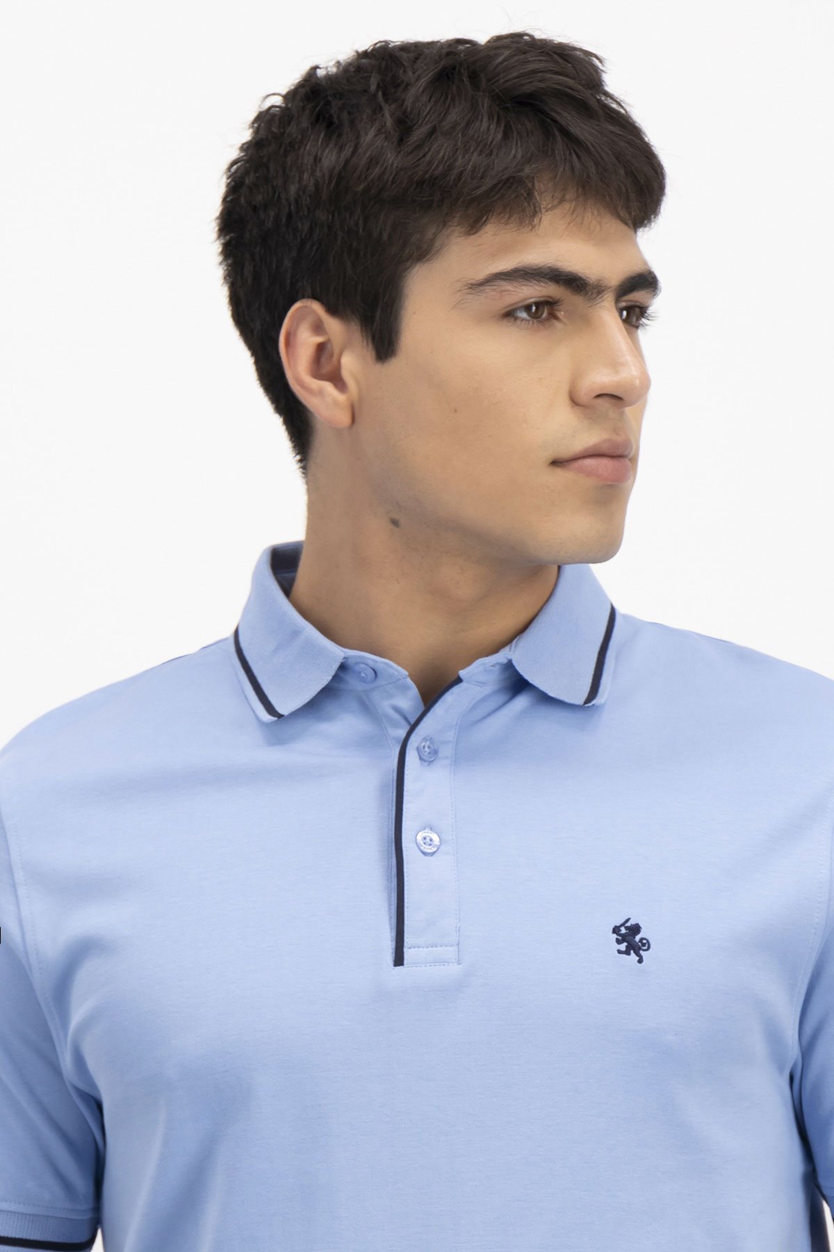 PLAYERA TIPO POLO PREMIUM COTTON CONTEMPORARY FIT LAMBERTI image number null